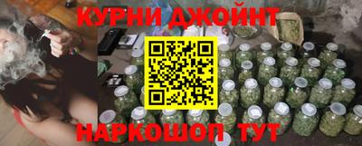 гидра Бердск