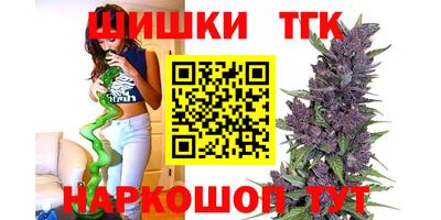 гидра Бердск