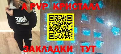 гидра Бердск